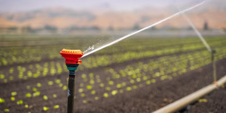 A lawn sprinkler system actively watering a green yard in Lubbock, Texas.