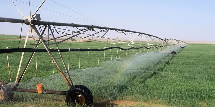 sprinkler system vs drip irrigation